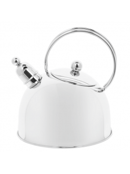 Bouilloire 20 cm inox -...