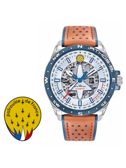Montre Patrouille de France...